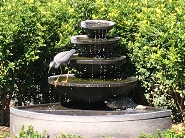 A long legged bird is sitting on one of the bowls of the cascading bowls water feature