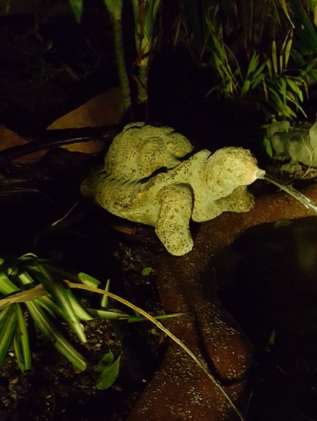 Green turtle with water flowing into a pond at night
