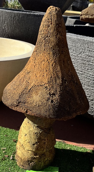 Mushroom with pointy cap