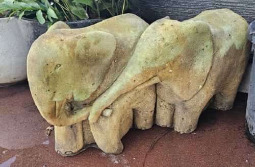elephant couple