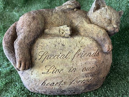 Cat lying on memorial rock
