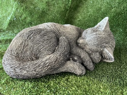 sleeping cat