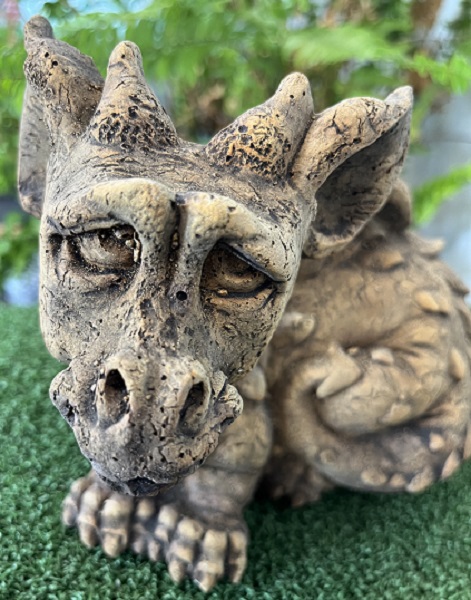 small dragon with sad face