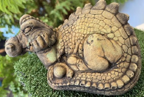 baby dragon sleeping