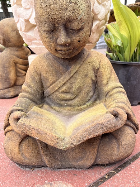 monk reading book