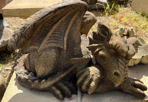 Large Sleeping Dragon